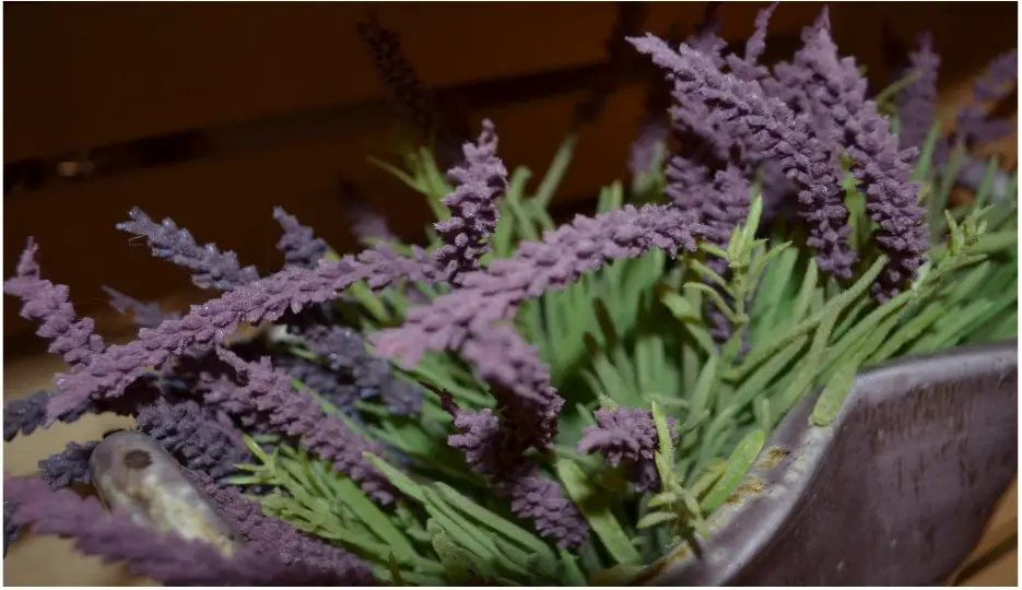 Add to your spa experience with Aura Cacia Lavender calming treatments